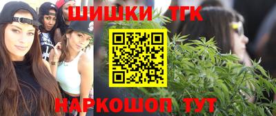 apvp Нальчик