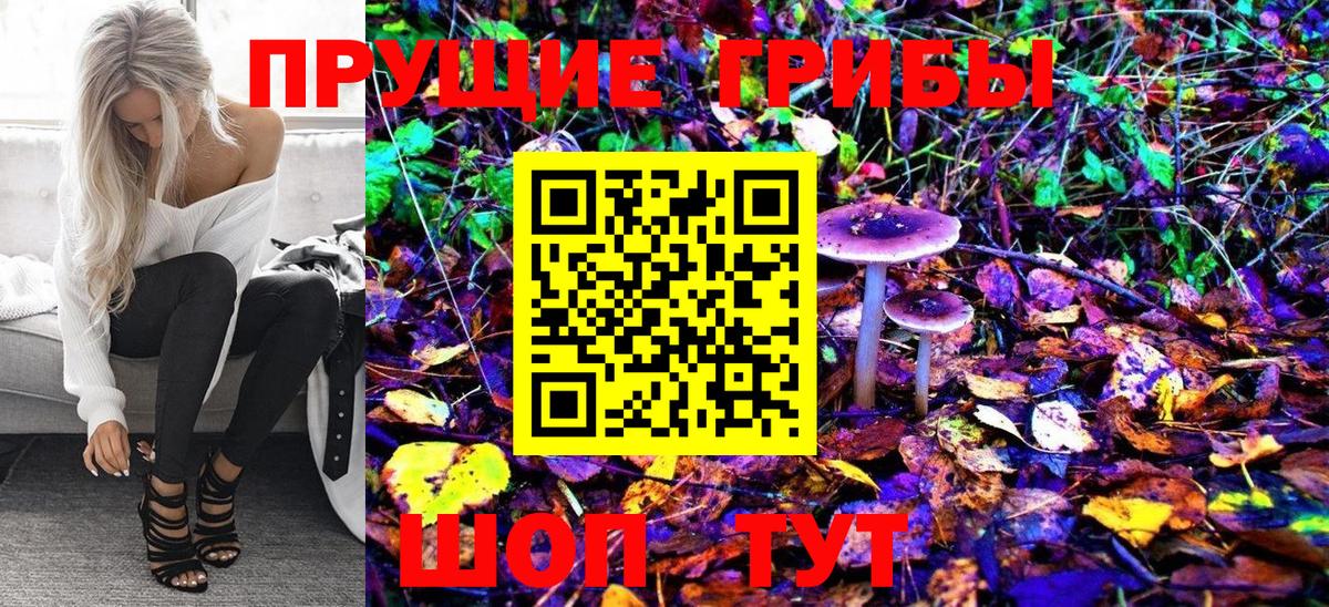Галлюциногенные грибы Psilocybine cubensis Таганрог