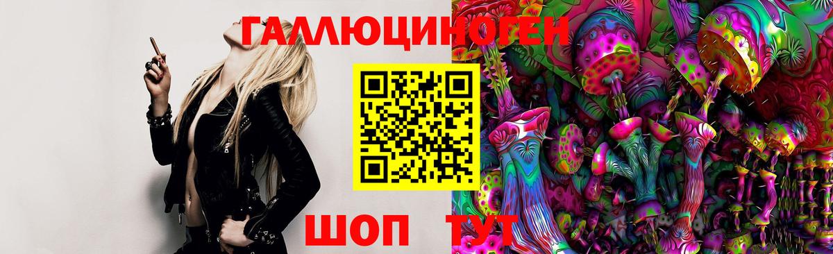 Галлюциногенные грибы Psilocybe  закладка  Таганрог  Вход с VPN 